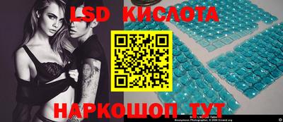гидропоника Гатчина